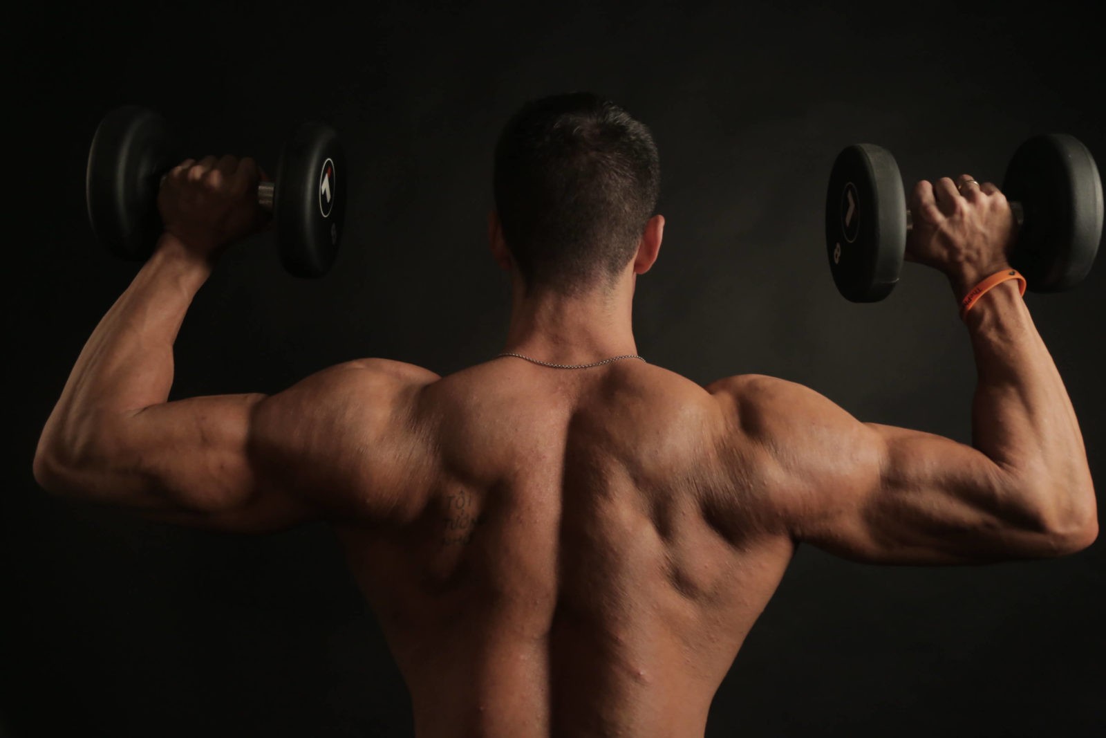 My Top 3 Reasons To Take L Carnitine The Physical Training Company